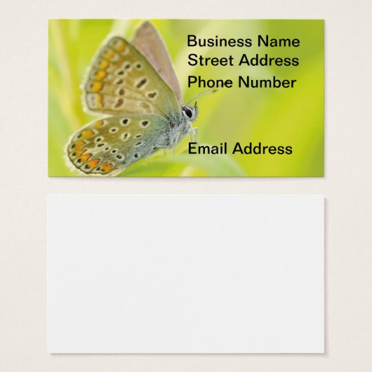 Butterfly Gazing Business Card (正面&裏面)