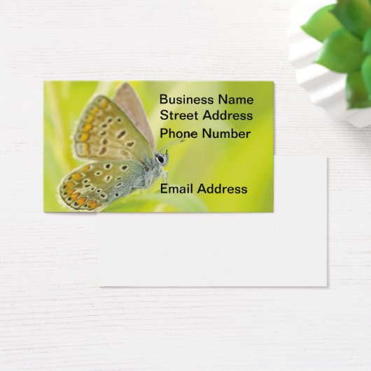 Butterfly Gazing Business Card (デスク)