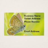 Butterfly Gazing Business Card (正面)