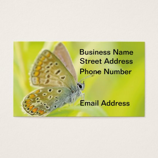 Butterfly Gazing Business Card (正面)