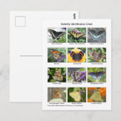 Butterfly identification  ポストカード (正面/裏面)