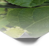 butterfly in circle ポスター (角)