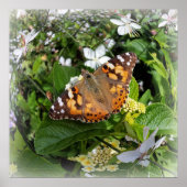 butterfly in circle ポスター (正面)