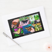 Butterfly Life 長方形シール (封筒)