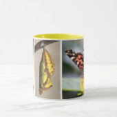 Butterfly Lifecycle Coffee Mアメリカの色彩の鮮やかな女性 マグカップ (中央)