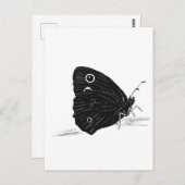 Butterfly Monochrome ポストカード (正面/裏面)