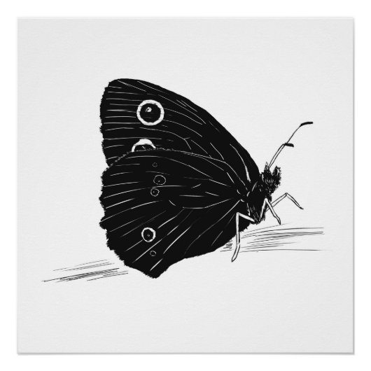 Butterfly Monochrome Print / Poster ポスター (正面)