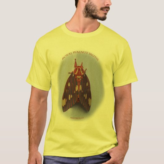 butterfly_moth_royal_walnut_9747 tシャツ (正面)
