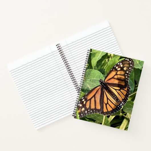 Butterfly Notebook ノートブック (内部)