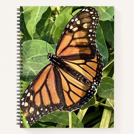 Butterfly Notebook ノートブック (正面)