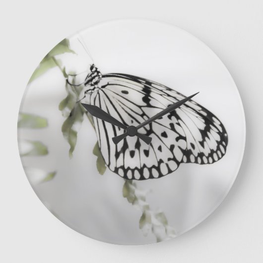 Butterfly on a branch ラージ壁時計 (正面)