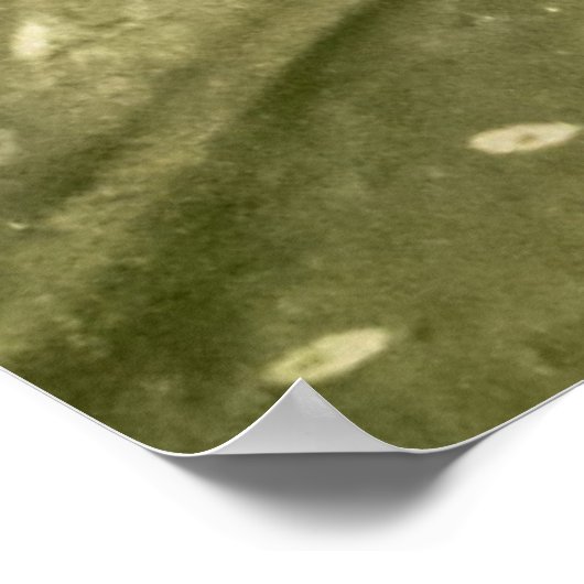 Butterfly on Leaf ポスター (角)