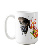 Butterfly on Milkweed開花、White