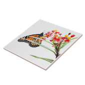 Butterfly on Milkweed開花、White タイル (側面)