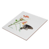 Butterfly on Milkweed開花、White タイル (側面)