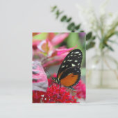 Butterfly on Red Flowersフォトポストカード ポストカード (スタンド正面)