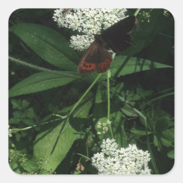 Butterfly Sticker スクエアシール