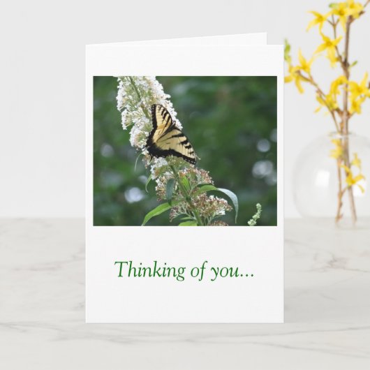 Butterfly Thinking of You カード (黄色い花)