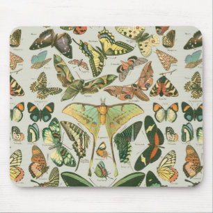 Butterfly Vintage Pattern Butterflies Painting マウスパッド