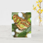 Butterfly Watching Nature Photography Note カード (黄色い花)