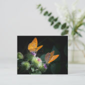 BUTTERFLY WILD LIFE INSECT POSTCROSSING ポストカード (スタンド正面)