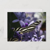 BUTTERFLY WILD LIFE INSECT POSTCROSSING ポストカード (正面/裏面)