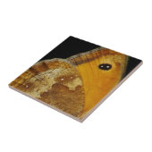 Butterfly Wing Tile タイル (側面)