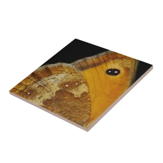 Butterfly Wing Tile タイル (側面)