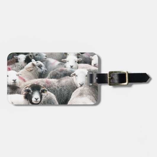 ButtermereのHerdwicks ラゲッジタグ (正面横)
