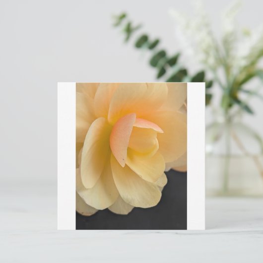 Buttery Begonia Note Card サンキューカード (スタンド正面)