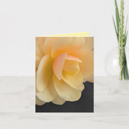 Buttery Begonia Note Card サンキューカード