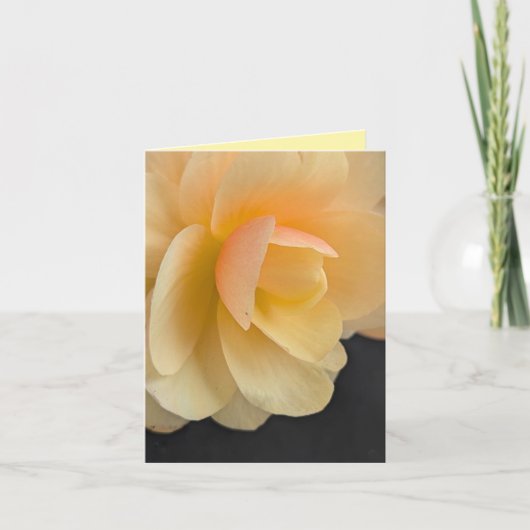 Buttery Begonia Note Card サンキューカード (正面)