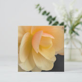 Buttery Begonia Note Card サンキューカード (スタンド正面)