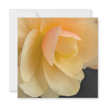Buttery Begonia Note Card