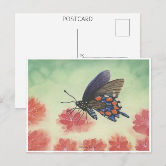 Buttlerfly watercolor ポストカード (正面/裏面)