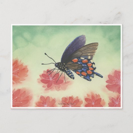 Buttlerfly watercolor ポストカード (正面)
