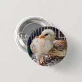 Button Cute Baby Chick  缶バッジ (正面&裏面)