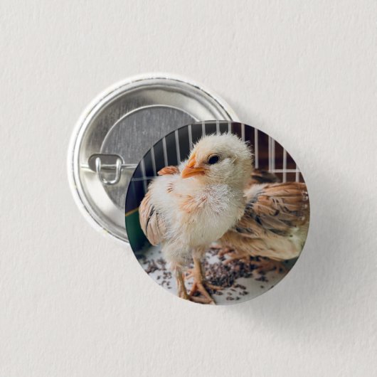 Button Cute Baby Chick  缶バッジ (正面&裏面)
