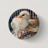 Button Cute Baby Chick  缶バッジ (正面)