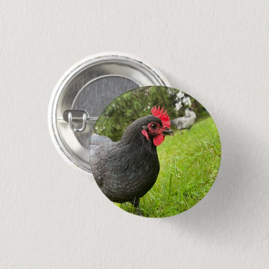 Button Cute Rooster 缶バッジ (正面&裏面)