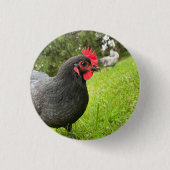 Button Cute Rooster 缶バッジ (正面)