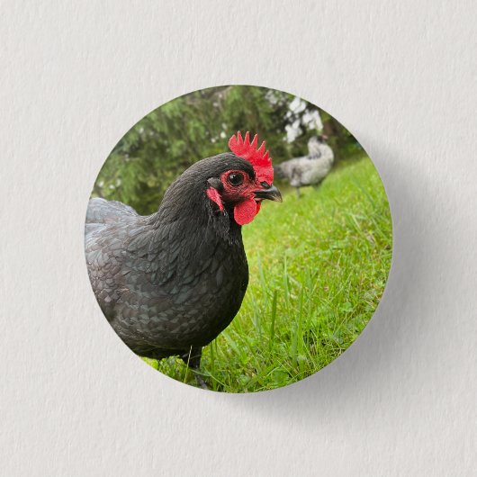 Button Cute Rooster 缶バッジ (正面)