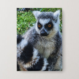 Button met Ringstaartmaki – Unieke Dierenprint 缶バッジ