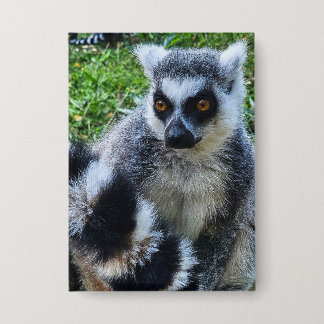 Button met Ringstaartmaki – Unieke Dierenprint 缶バッジ