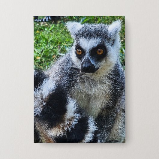 Button met Ringstaartmaki – Unieke Dierenprint 缶バッジ (正面)