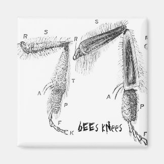 buzzart magnet マグネット