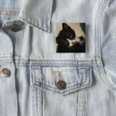 BWの子ネコボタン 缶バッジ (インサイチュ)