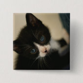 BWの子ネコボタン 缶バッジ (正面)