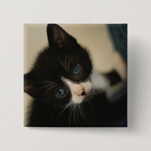BWの子ネコボタン 缶バッジ (正面)