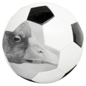 BWガチョウ サッカーボール (3/4)